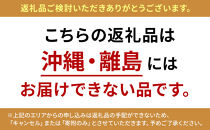 長野市産&nbsp;梨&nbsp;3kg（6～12玉）【2026年9月上旬以降発送予定】(さらしな青果)&nbsp;|&nbsp;梨&nbsp;人気&nbsp;おすすめ&nbsp;フルーツ&nbsp;果物&nbsp;なし&nbsp;ナシ&nbsp;和梨&nbsp;長野県&nbsp;長野市&nbsp;信州&nbsp;信濃&nbsp;ふるさと納税