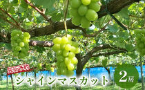 長野市産&nbsp;シャインマスカット（贈答用）&nbsp;2房【2026年9月下旬頃発送予定】