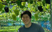 長野市産&nbsp;シャインマスカット（贈答用）&nbsp;2房【2026年9月下旬頃発送予定】