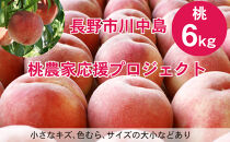 【先行予約】桃6kg(長野市川中島の桃農家を応援プロジェクト)【2025年7月下旬以降出荷分】