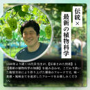 長野市産&nbsp;クイーンニーナ（贈答用）&nbsp;2房【2026年9月下旬頃発送予定】