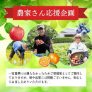 【訳あり】長野市産&nbsp;シャインマスカット&nbsp;約1.0kg（ご家庭用）【2026年9月下旬以降出荷予定】わけあり&nbsp;長野&nbsp;|&nbsp;ぶどう&nbsp;訳あり&nbsp;農家応援&nbsp;シャインマスカット&nbsp;約1kg&nbsp;人気&nbsp;おすすめ&nbsp;フルーツ&nbsp;果物&nbsp;葡萄&nbsp;ブドウ&nbsp;種なし&nbsp;皮ごと&nbsp;旬&nbsp;長野県&nbsp;長野市&nbsp;信州&nbsp;信濃&nbsp;ふるさと納税