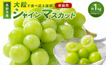 【訳あり】長野市産&nbsp;シャインマスカット&nbsp;約1.0kg（ご家庭用）【2026年9月下旬以降出荷予定】わけあり&nbsp;長野&nbsp;|&nbsp;ぶどう&nbsp;訳あり&nbsp;農家応援&nbsp;シャインマスカット&nbsp;約1kg&nbsp;人気&nbsp;おすすめ&nbsp;フルーツ&nbsp;果物&nbsp;葡萄&nbsp;ブドウ&nbsp;種なし&nbsp;皮ごと&nbsp;旬&nbsp;長野県&nbsp;長野市&nbsp;信州&nbsp;信濃&nbsp;ふるさと納税
