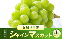 【訳あり】長野市産&nbsp;シャインマスカット&nbsp;約1.0kg（ご家庭用）【2026年9月下旬以降出荷予定】わけあり&nbsp;長野&nbsp;|&nbsp;ぶどう&nbsp;訳あり&nbsp;農家応援&nbsp;シャインマスカット&nbsp;約1kg&nbsp;人気&nbsp;おすすめ&nbsp;フルーツ&nbsp;果物&nbsp;葡萄&nbsp;ブドウ&nbsp;種なし&nbsp;皮ごと&nbsp;旬&nbsp;長野県&nbsp;長野市&nbsp;信州&nbsp;信濃&nbsp;ふるさと納税