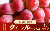 長野市産&nbsp;クイーンルージュ(R)&nbsp;1房(約450g)&nbsp;果物&nbsp;くだもの&nbsp;フルーツ&nbsp;葡萄&nbsp;ぶどう&nbsp;ブドウ&nbsp;人気&nbsp;長野県&nbsp;長野市&nbsp;|&nbsp;ぶどう&nbsp;希少品種&nbsp;クイーンルージュ&nbsp;皮ごと&nbsp;人気&nbsp;おすすめ&nbsp;フルーツ&nbsp;果物&nbsp;葡萄&nbsp;ブドウ&nbsp;高級&nbsp;シャインマスカット&nbsp;ユニコーン&nbsp;長野県&nbsp;長野市&nbsp;信州&nbsp;信濃&nbsp;ふるさと納税