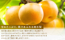 南水梨(約3kg:6玉～12玉)【2026年9月中旬以降発送予定】(さらしな青果)果物&nbsp;くだもの&nbsp;フルーツ&nbsp;旬&nbsp;梨&nbsp;なし&nbsp;ナシ&nbsp;長野県&nbsp;家庭用&nbsp;訳あり&nbsp;|&nbsp;&nbsp;梨&nbsp;南水梨&nbsp;オリジナル&nbsp;長野県産&nbsp;人気&nbsp;おすすめ&nbsp;なし&nbsp;ナシ&nbsp;フルーツ&nbsp;果物&nbsp;ジューシー&nbsp;シャキシャキ&nbsp;訳あり&nbsp;家庭用&nbsp;長野県&nbsp;長野市&nbsp;信州&nbsp;信濃&nbsp;ふるさと納税