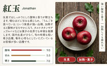 紅玉屋&nbsp;長野市産&nbsp;紅玉&nbsp;4kg【2026年9月下旬以降の出荷分】（紅玉屋）&nbsp;|&nbsp;&nbsp;りんご&nbsp;林檎&nbsp;&nbsp;フルーツ&nbsp;果物&nbsp;ギフト&nbsp;&nbsp;人気&nbsp;おすすめ&nbsp;送料無料&nbsp;長野県&nbsp;長野市&nbsp;信州&nbsp;信濃&nbsp;ふるさと納税