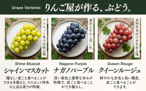 ★&nbsp;紅玉屋&nbsp;長野市産大粒シャインマスカット1房（約450g～800g）【2026年9月上旬頃より順次発送】&nbsp;|&nbsp;&nbsp;シャインマスカット&nbsp;ぶどう&nbsp;フルーツ&nbsp;果物&nbsp;国産&nbsp;人気&nbsp;おすすめ&nbsp;ギフト&nbsp;プレゼント&nbsp;送料無料&nbsp;長野県&nbsp;長野市&nbsp;信州&nbsp;信濃&nbsp;ふるさと納税