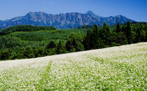 信州戸隠産半なまそば詰合せ　６人前　つゆ・七味付
