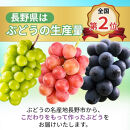 長野市産&nbsp;ナガノパープル（贈答用）2房【2026年9月上旬頃発送予定】