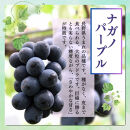 長野市産&nbsp;ナガノパープル（贈答用）2房【2026年9月上旬頃発送予定】