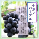 長野市産&nbsp;ナガノパープル（贈答用）2房【2026年9月上旬頃発送予定】