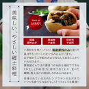 信州おやき9種セット（蒸しタイプ）（美包）