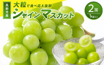 【大粒2房】長野市産シャインマスカット約1kg&nbsp;以上【2026年9月中旬以降出荷分】(さらしな青果)&nbsp;|&nbsp;&nbsp;ぶどう&nbsp;シャインマスカット&nbsp;大粒&nbsp;ダントツ人気&nbsp;人気&nbsp;おすすめ&nbsp;葡萄&nbsp;ブドウ&nbsp;フルーツ&nbsp;果物&nbsp;香り&nbsp;皮ごと&nbsp;種なし&nbsp;ギフト&nbsp;プレゼント&nbsp;長野県&nbsp;長野市&nbsp;信州&nbsp;信濃&nbsp;ふるさと納税