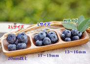 長野市産「森のサファイア」冷凍ブルーベリー（Mサイズ）500ｇスチロールパック