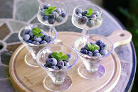 長野市産「森のサファイア」冷凍ブルーベリー（Mサイズ）500ｇスチロールパック