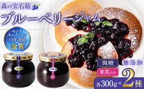 長野市産「森の宝石箱」ブルーベリージャム300g×2種セット&nbsp;|&nbsp;ジャム&nbsp;&nbsp;ブルーベリー&nbsp;フルーツ&nbsp;人気&nbsp;おすすめ&nbsp;ギフト&nbsp;送料無料&nbsp;長野県&nbsp;長野市&nbsp;信州&nbsp;信濃&nbsp;ふるさと納税