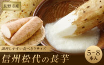 信州の長芋【調理しやすい食べきりサイズ】5～8本入り&nbsp;|&nbsp;&nbsp;長芋&nbsp;松代&nbsp;食べきりサイズ&nbsp;千曲川&nbsp;人気&nbsp;おすすめ&nbsp;野菜&nbsp;根菜&nbsp;とろろ&nbsp;煮物&nbsp;焼き物&nbsp;揚げ物&nbsp;家庭用&nbsp;健康&nbsp;長野県&nbsp;長野市&nbsp;信州&nbsp;信濃&nbsp;ふるさと納税