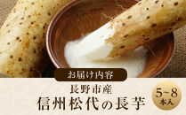 信州の長芋【調理しやすい食べきりサイズ】5～8本入り&nbsp;|&nbsp;&nbsp;長芋&nbsp;松代&nbsp;食べきりサイズ&nbsp;千曲川&nbsp;人気&nbsp;おすすめ&nbsp;野菜&nbsp;根菜&nbsp;とろろ&nbsp;煮物&nbsp;焼き物&nbsp;揚げ物&nbsp;家庭用&nbsp;健康&nbsp;長野県&nbsp;長野市&nbsp;信州&nbsp;信濃&nbsp;ふるさと納税