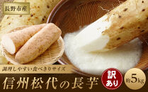 松代産長芋約5kg【地域の生産者応援の品(訳あり品)】&nbsp;|&nbsp;&nbsp;長芋&nbsp;松代&nbsp;訳あり&nbsp;応援品&nbsp;人気&nbsp;おすすめ&nbsp;野菜&nbsp;根菜&nbsp;とろろ&nbsp;煮物&nbsp;焼き物&nbsp;揚げ物&nbsp;健康&nbsp;食材&nbsp;長野県&nbsp;長野市&nbsp;信州&nbsp;信濃&nbsp;ふるさと納税