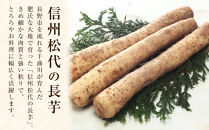 松代産長芋約5kg【地域の生産者応援の品(訳あり品)】&nbsp;|&nbsp;&nbsp;長芋&nbsp;松代&nbsp;訳あり&nbsp;応援品&nbsp;人気&nbsp;おすすめ&nbsp;野菜&nbsp;根菜&nbsp;とろろ&nbsp;煮物&nbsp;焼き物&nbsp;揚げ物&nbsp;健康&nbsp;食材&nbsp;長野県&nbsp;長野市&nbsp;信州&nbsp;信濃&nbsp;ふるさと納税