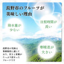 長野市産シャインマスカット【特秀】2房【2026年9月中旬以降出荷分】（タマファーム）