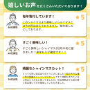 長野市産シャインマスカット【特秀】2房【2026年9月中旬以降出荷分】（タマファーム）