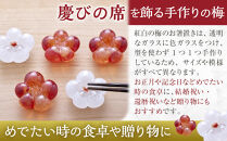 めでたい紅白梅箸置き《木箱セット》&nbsp;|&nbsp;&nbsp;箸置き&nbsp;ガラス&nbsp;紅白&nbsp;梅&nbsp;縁起&nbsp;食卓&nbsp;食器&nbsp;キッチン&nbsp;雑貨&nbsp;手作り&nbsp;人気&nbsp;おすすめ&nbsp;ギフト&nbsp;プレゼント&nbsp;送料無料&nbsp;長野県&nbsp;長野市&nbsp;信州&nbsp;信濃&nbsp;ふるさと納税