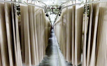 信州戸隠産&nbsp;半なまそば・干しそば&nbsp;詰合わせ（つゆ・七味付き）