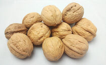 信州長野　菓子生くるみ　むきタイプ１００ｇｘ３袋