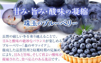 【Lサイズ】生ブルーベリー「森のサファイア」500g&nbsp;|&nbsp;ブルーベリー&nbsp;&nbsp;フルーツ&nbsp;冷蔵&nbsp;&nbsp;人気&nbsp;おすすめ&nbsp;ギフト&nbsp;送料無料&nbsp;長野県&nbsp;長野市&nbsp;信州&nbsp;信濃&nbsp;ふるさと納税