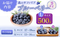 【Lサイズ】生ブルーベリー「森のサファイア」500g&nbsp;|&nbsp;ブルーベリー&nbsp;&nbsp;フルーツ&nbsp;冷蔵&nbsp;&nbsp;人気&nbsp;おすすめ&nbsp;ギフト&nbsp;送料無料&nbsp;長野県&nbsp;長野市&nbsp;信州&nbsp;信濃&nbsp;ふるさと納税