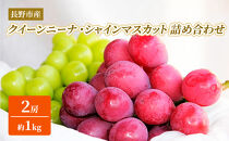 シャインマスカット・クイーンニーナ詰合せ1kg【2026年9月下旬以降の出荷分】（本気農場いけだ）