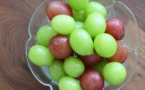 シャインマスカット・クイーンニーナ詰合せ1kg【2026年9月下旬以降の出荷分】（本気農場いけだ）