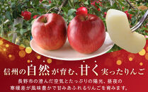 小林紀美園　農園直送　長野市産「秋映＆シナノスイート」５kg&nbsp;(小林紀美園)&nbsp;|&nbsp;りんご&nbsp;林檎&nbsp;リンゴ&nbsp;シナノスイート&nbsp;林檎&nbsp;果物&nbsp;フルーツ&nbsp;人気&nbsp;おすすめ&nbsp;小林紀美園&nbsp;&nbsp;産地直送&nbsp;&nbsp;送料無料&nbsp;長野県&nbsp;長野市&nbsp;信州&nbsp;信濃&nbsp;ふるさと納税