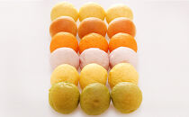 やさいぱん&nbsp;5種入り×6袋のセット&nbsp;30個&nbsp;【玄米エッセンス配合】&nbsp;|&nbsp;パン野菜&nbsp;玄米&nbsp;食事パン&nbsp;人気&nbsp;おすすめ&nbsp;ヘルシー&nbsp;朝食&nbsp;軽食&nbsp;長野県&nbsp;長野市&nbsp;信州&nbsp;信濃&nbsp;ふるさと納税
