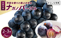 ナガノパープル約1kg&nbsp;以上【2026年9月以降発送予定】(さらしな青果)&nbsp;|&nbsp;&nbsp;ぶどう&nbsp;ナガノパープル&nbsp;&nbsp;オリジナル&nbsp;人気&nbsp;おすすめ&nbsp;葡萄&nbsp;ブドウ&nbsp;フルーツ&nbsp;果物&nbsp;種なし&nbsp;皮ごと&nbsp;大粒&nbsp;旬&nbsp;ギフト&nbsp;プレゼント&nbsp;長野県&nbsp;長野市&nbsp;信州&nbsp;信濃&nbsp;ふるさと納税