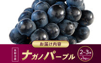 ナガノパープル約1kg&nbsp;以上【2026年9月以降発送予定】(さらしな青果)&nbsp;|&nbsp;&nbsp;ぶどう&nbsp;ナガノパープル&nbsp;&nbsp;オリジナル&nbsp;人気&nbsp;おすすめ&nbsp;葡萄&nbsp;ブドウ&nbsp;フルーツ&nbsp;果物&nbsp;種なし&nbsp;皮ごと&nbsp;大粒&nbsp;旬&nbsp;ギフト&nbsp;プレゼント&nbsp;長野県&nbsp;長野市&nbsp;信州&nbsp;信濃&nbsp;ふるさと納税