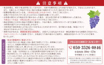 ナガノパープル約1kg&nbsp;以上【2026年9月以降発送予定】(さらしな青果)&nbsp;|&nbsp;&nbsp;ぶどう&nbsp;ナガノパープル&nbsp;&nbsp;オリジナル&nbsp;人気&nbsp;おすすめ&nbsp;葡萄&nbsp;ブドウ&nbsp;フルーツ&nbsp;果物&nbsp;種なし&nbsp;皮ごと&nbsp;大粒&nbsp;旬&nbsp;ギフト&nbsp;プレゼント&nbsp;長野県&nbsp;長野市&nbsp;信州&nbsp;信濃&nbsp;ふるさと納税