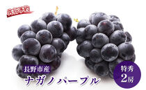 長野市産&nbsp;ナガノパープル&nbsp;特秀&nbsp;2房【2026年9月以降出荷分】（タマファーム）