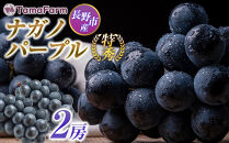 長野市産&nbsp;ナガノパープル&nbsp;特秀&nbsp;2房【2026年9月以降出荷分】（タマファーム）&nbsp;|&nbsp;&nbsp;ナガノパープル&nbsp;ぶどう&nbsp;葡萄&nbsp;フルーツ&nbsp;果物&nbsp;&nbsp;人気&nbsp;おすすめ&nbsp;タマファーム&nbsp;&nbsp;送料無料&nbsp;&nbsp;長野県&nbsp;長野市&nbsp;信州&nbsp;信濃&nbsp;ふるさと納税