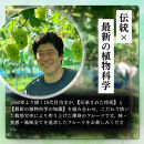 長野市産サンふじ&nbsp;約5kg(13～16玉)【2026年12月上旬頃発送予定】OKABE&nbsp;fruits