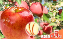 長野市産サンふじ&nbsp;約5kg(13～16玉)【2026年12月上旬頃発送予定】OKABE&nbsp;fruits