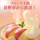 長野市産サンふじ&nbsp;約5kg(13～16玉)【2026年12月上旬頃発送予定】OKABE&nbsp;fruits