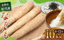 高野農園　長野市ながいも&nbsp;10kg&nbsp;(2026年11月下旬頃出荷分）&nbsp;|&nbsp;&nbsp;ながいも&nbsp;長芋&nbsp;野菜&nbsp;根菜&nbsp;人気&nbsp;おすすめ&nbsp;旬の野菜&nbsp;産地直送&nbsp;グルメ&nbsp;&nbsp;&nbsp;送料無料&nbsp;&nbsp;長野県&nbsp;長野市&nbsp;信州&nbsp;信濃&nbsp;ふるさと納税