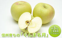 長野市産&nbsp;ぐんま名月&nbsp;ご家庭用&nbsp;約3kg（7～12玉入り）【2026年11月上旬以降出荷予定】&nbsp;|&nbsp;&nbsp;りんご&nbsp;ぐんま名月&nbsp;希少&nbsp;家庭用&nbsp;人気&nbsp;おすすめ&nbsp;林檎&nbsp;リンゴ&nbsp;フルーツ&nbsp;果物&nbsp;黄色&nbsp;香り&nbsp;数量限定&nbsp;長野県&nbsp;長野市&nbsp;信州&nbsp;信濃&nbsp;ふるさと納税