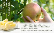 長野市産&nbsp;ぐんま名月&nbsp;ご家庭用&nbsp;約3kg（7～12玉入り）【2026年11月上旬以降出荷予定】&nbsp;|&nbsp;&nbsp;りんご&nbsp;ぐんま名月&nbsp;希少&nbsp;家庭用&nbsp;人気&nbsp;おすすめ&nbsp;林檎&nbsp;リンゴ&nbsp;フルーツ&nbsp;果物&nbsp;黄色&nbsp;香り&nbsp;数量限定&nbsp;長野県&nbsp;長野市&nbsp;信州&nbsp;信濃&nbsp;ふるさと納税