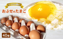 おぶせのたまご&nbsp;40個