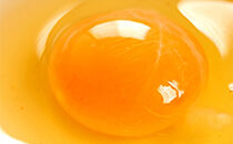 おぶせのたまご&nbsp;40個