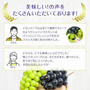 食べ比べ「ナガノパープル&シャインマスカット」約1kg&nbsp;入【2026年9月以降発送予定】(さらしな青果)&nbsp;|&nbsp;&nbsp;ぶどう&nbsp;食べ比べ&nbsp;ナガノパープル&nbsp;シャインマスカット&nbsp;人気&nbsp;おすすめ&nbsp;葡萄&nbsp;ブドウ&nbsp;フルーツ&nbsp;果物&nbsp;セット&nbsp;詰合せ&nbsp;旬&nbsp;産地直送&nbsp;ギフト&nbsp;プレゼント&nbsp;長野県&nbsp;長野市&nbsp;信州&nbsp;信濃&nbsp;ふるさと納税